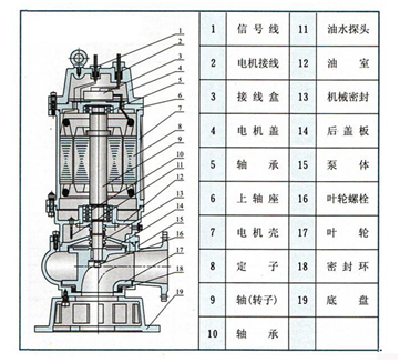 大東海泵業(yè)潛水排污泵結構圖