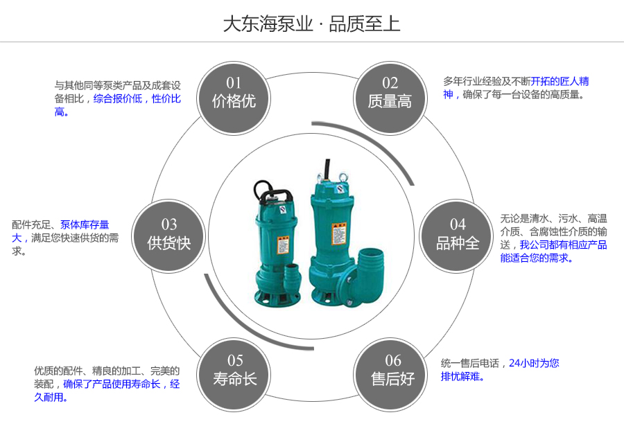 大東海泵業(yè)潛水電泵質量保證圖